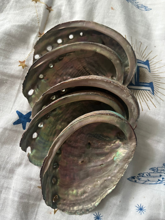 Alabone shell