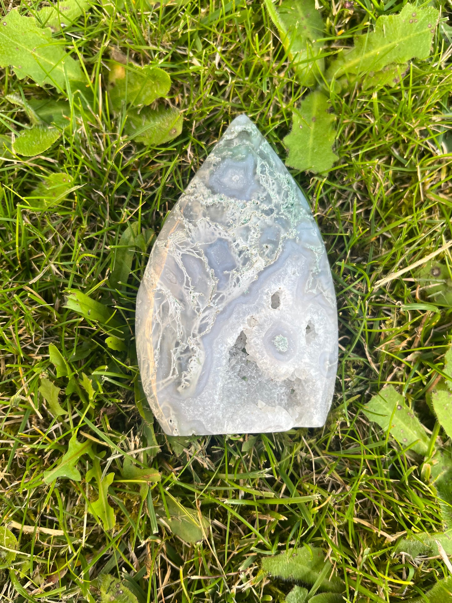 Moss agate tear drop free form