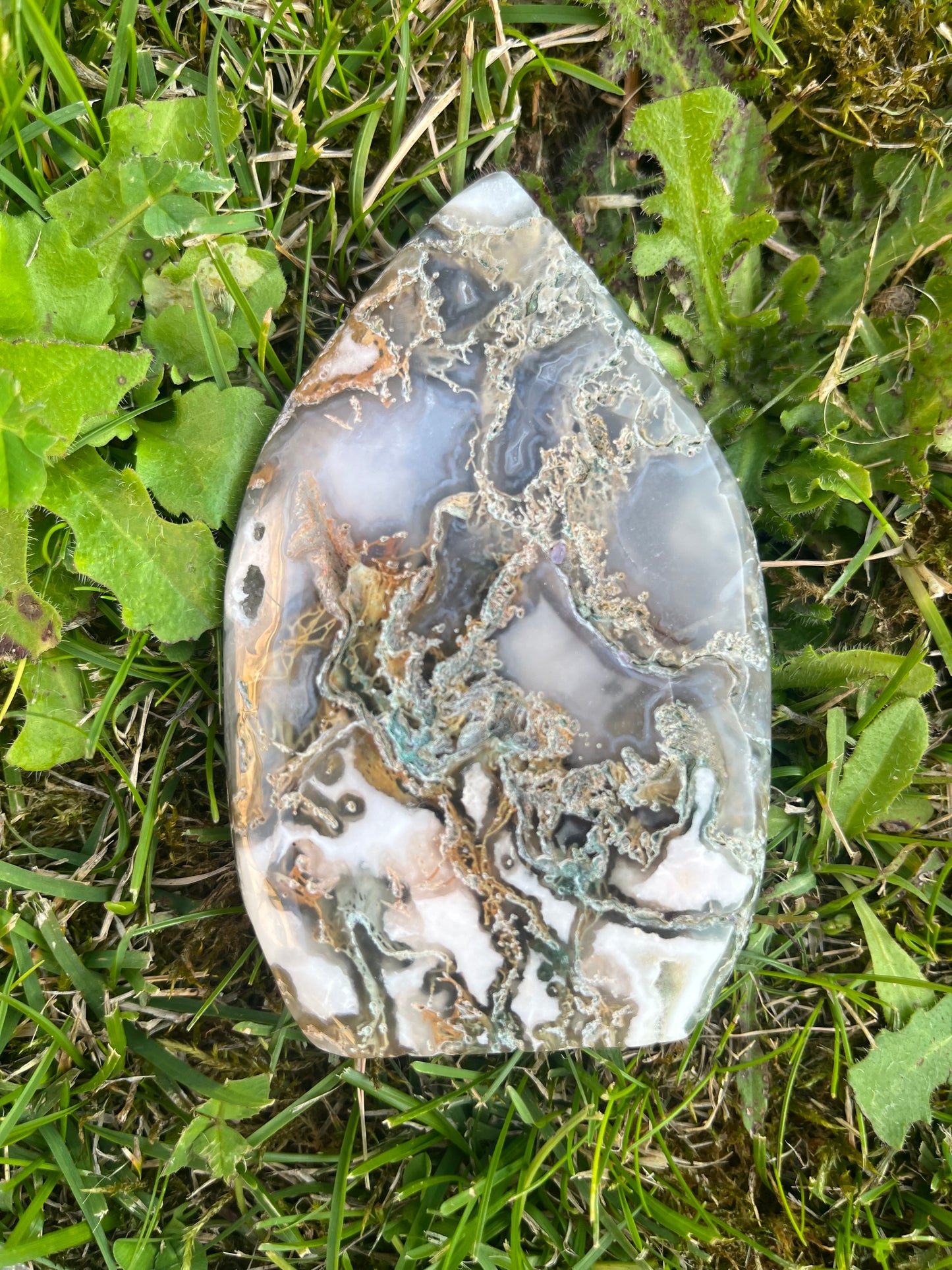 Moss agate tear drop free form