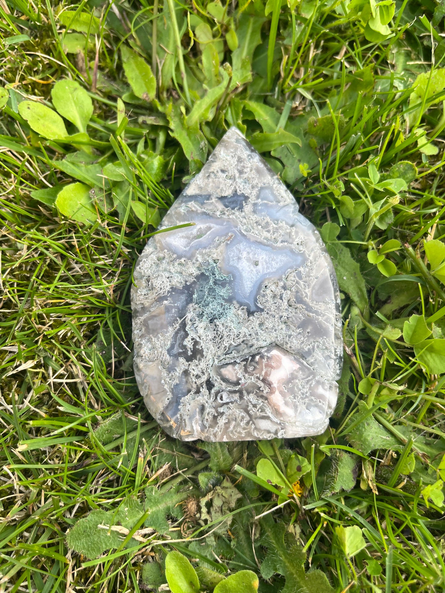 Moss agate tear drop free form