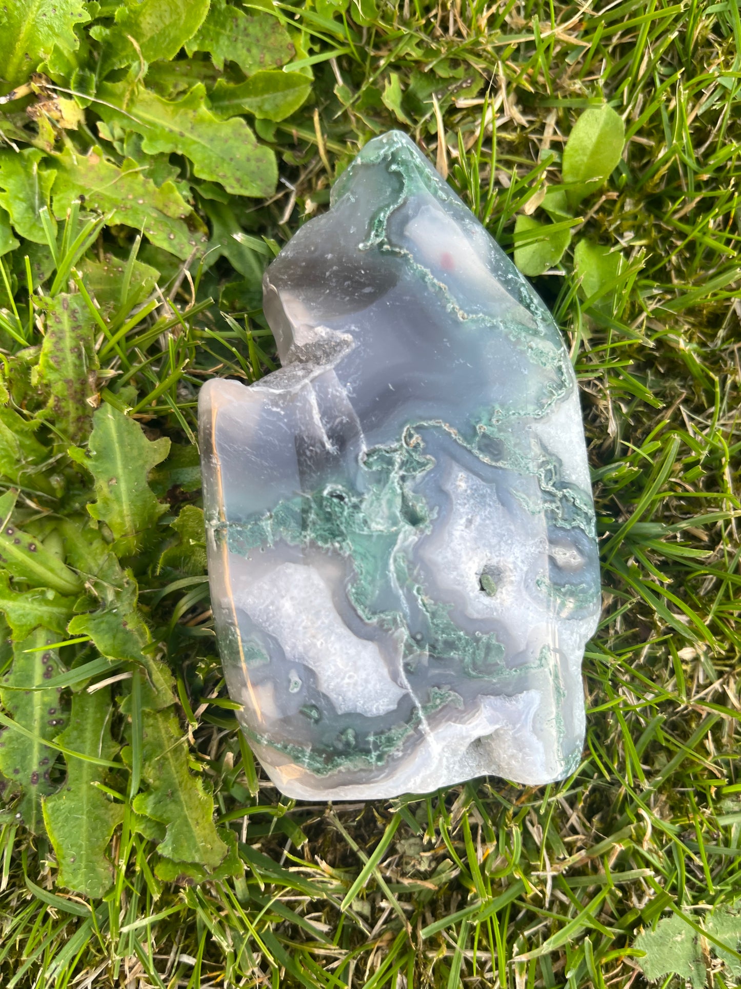 Moss agate tear drop free form